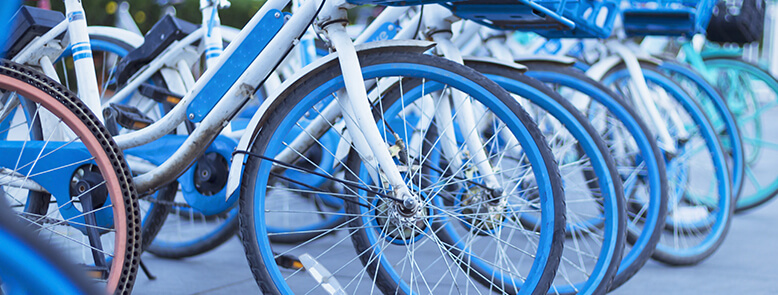 blue bicycles lined up