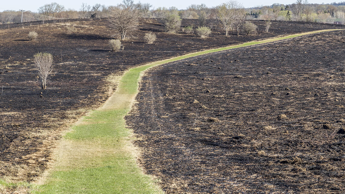 land after fire with pathway